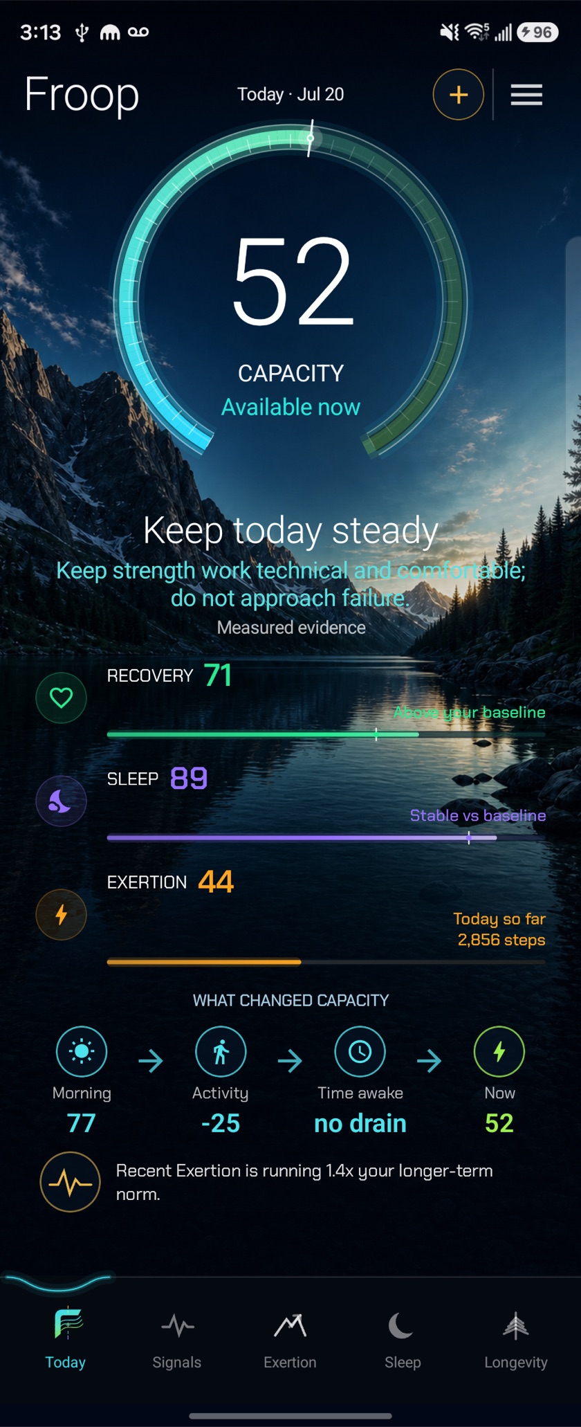 Froop Today — a Capacity ring with the drivers behind it and a daily call